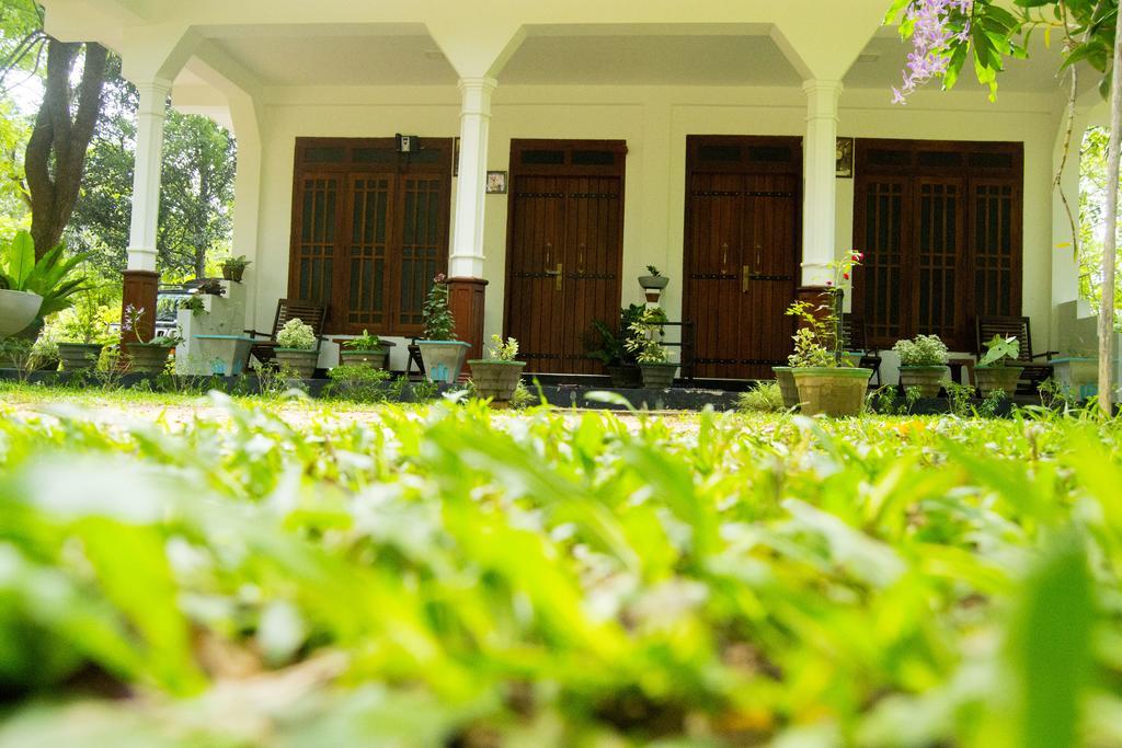 Sigiriya Flower Guest Exterior foto